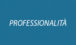 Professionalità